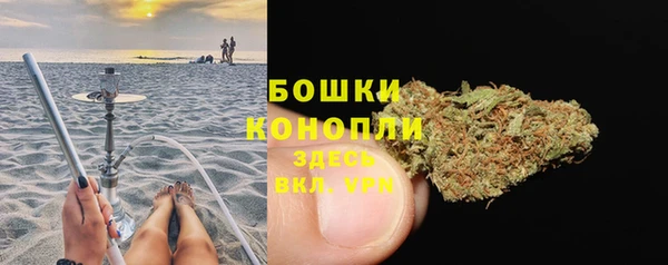 spice Бородино