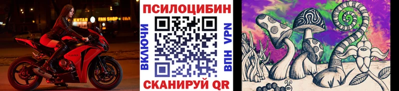 mega как войти  Кировск  Галлюциногенные грибы ЛСД 