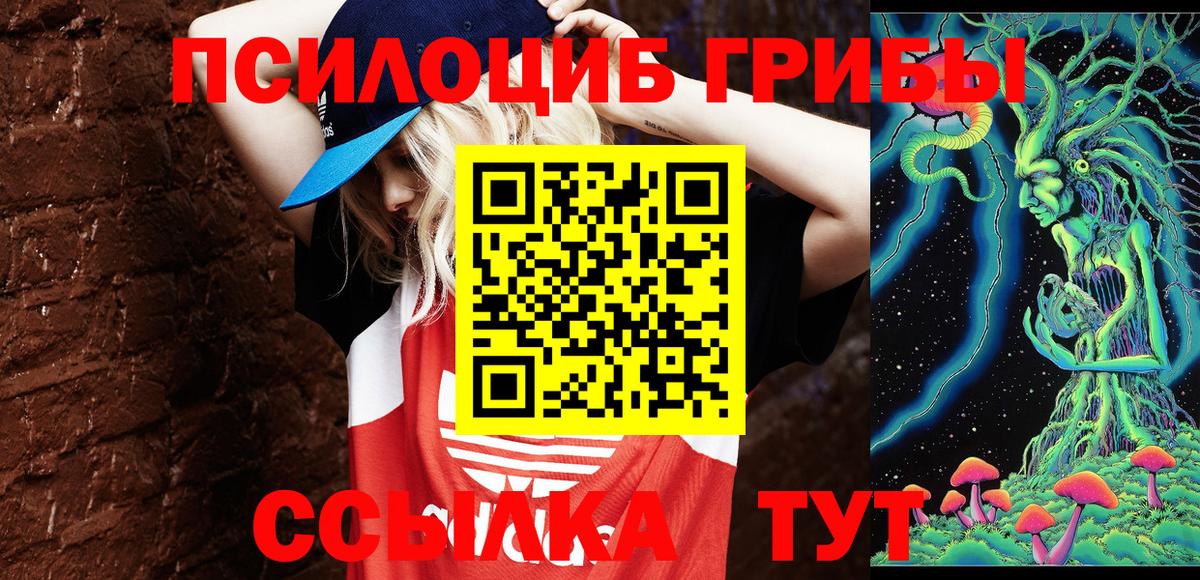 Кировск  хочу   Вход с VPN  Галлюциногенные грибы мицелий 