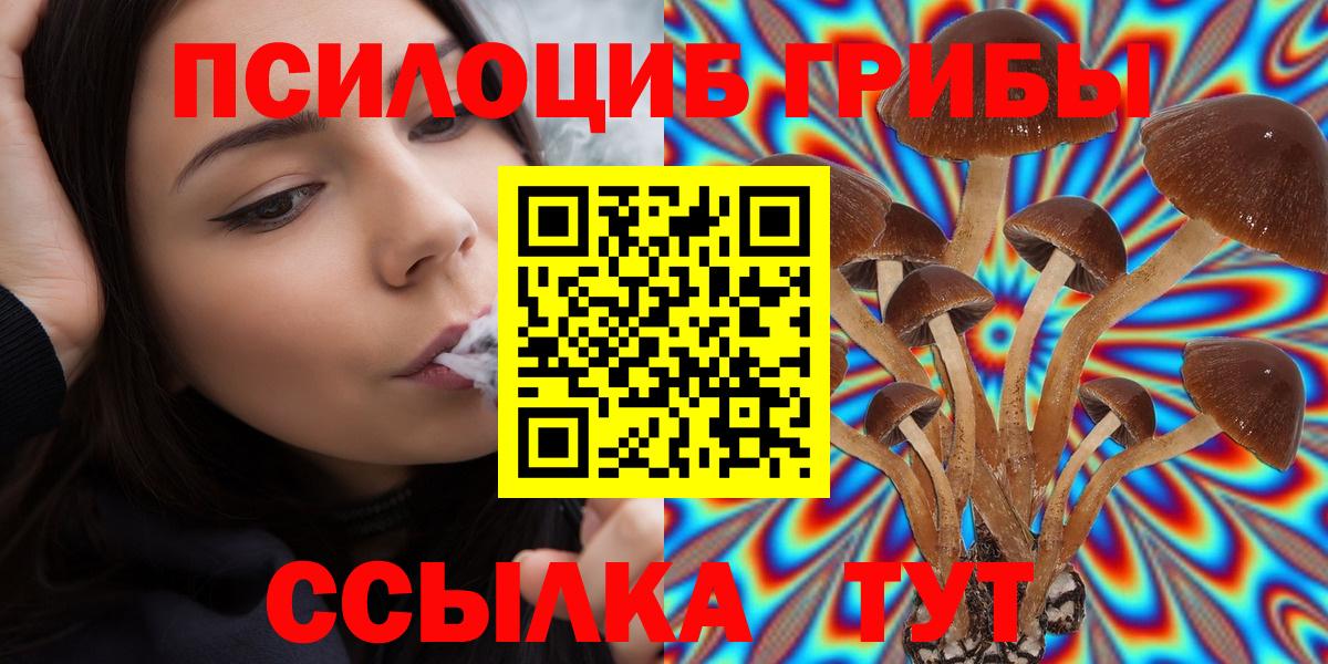 Галлюциногенные грибы прущие грибы Кировск