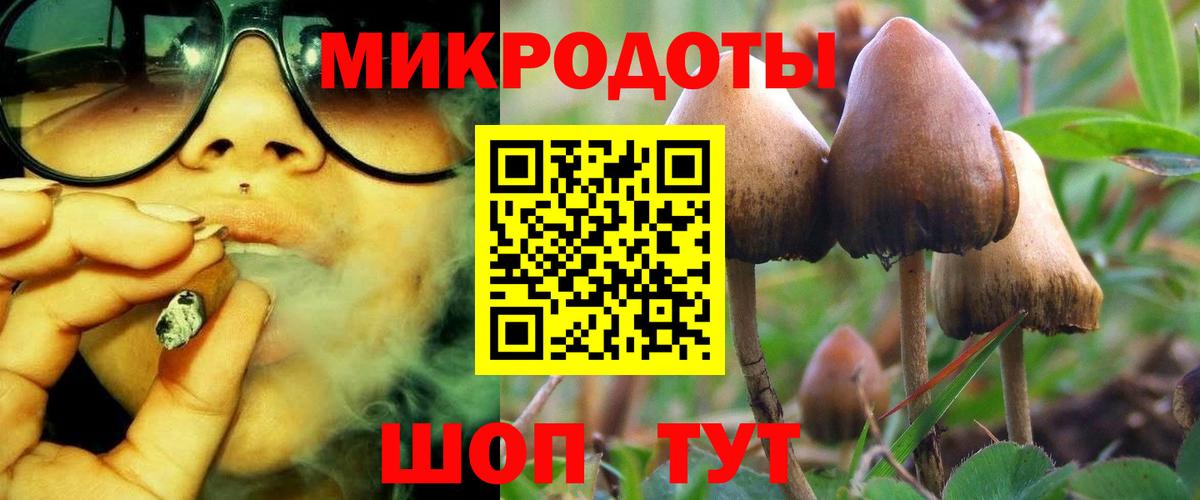 ГАШ Кировск